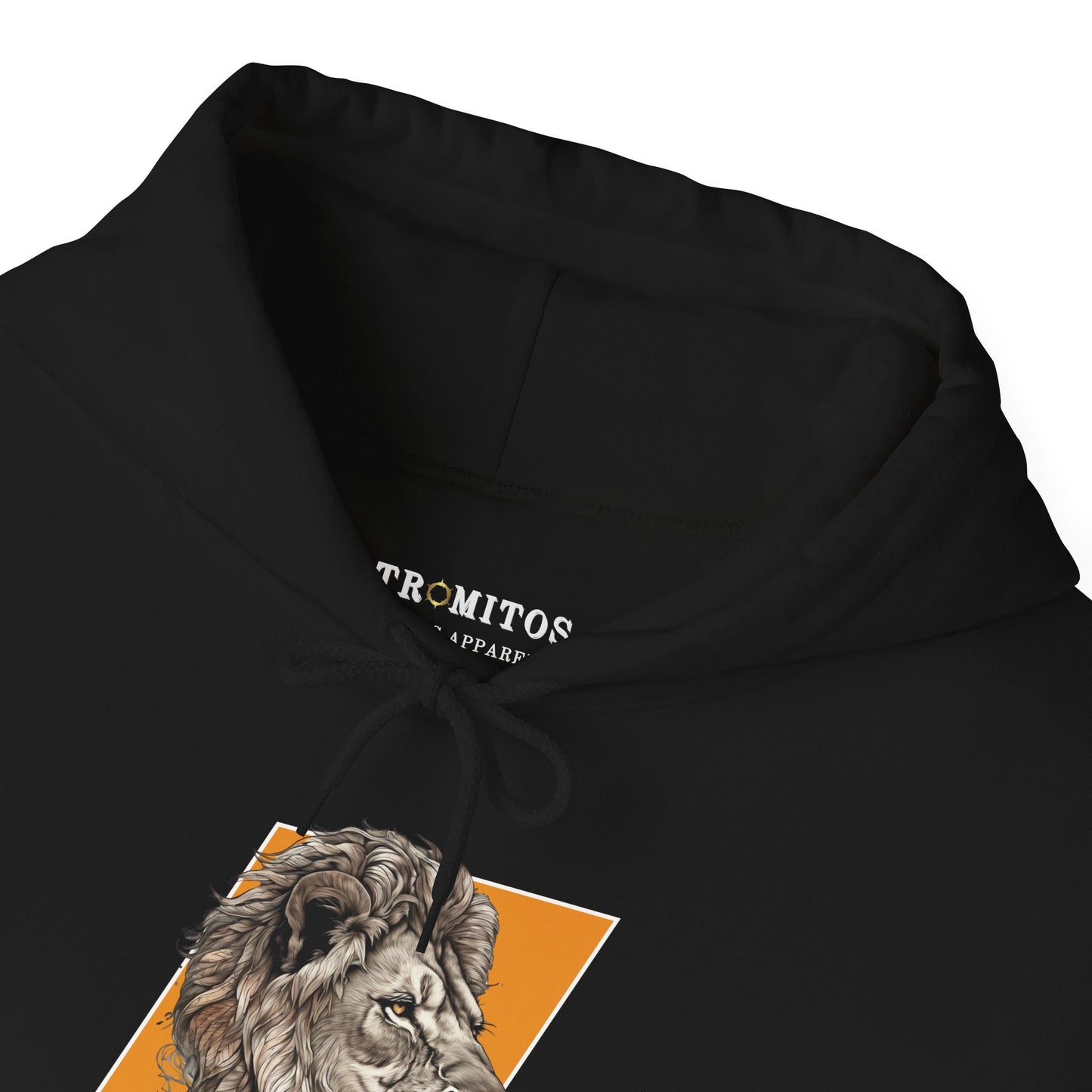 Lion of Judah Hoodie